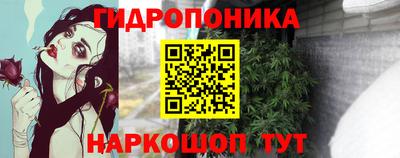 индика Жуковский