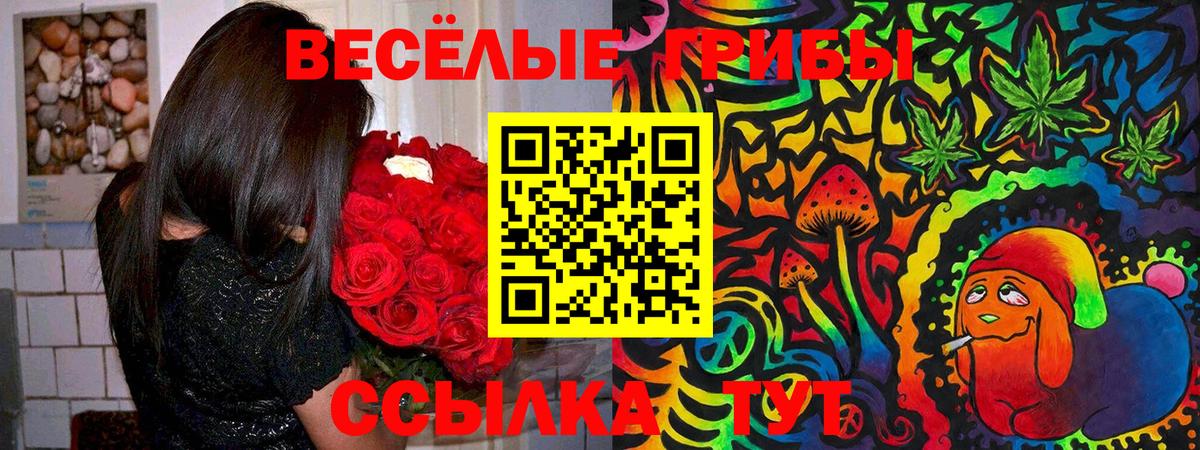 Лениногорск  Псилоцибиновые грибы мицелий  Галлюциногенные грибы Psilocybe  Вход с VPN 